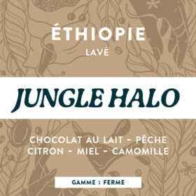 Jungle Halo